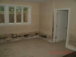 Water Damage Mitigation Resource