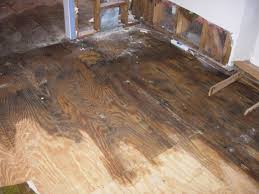 Water Damage Mitigation Resource